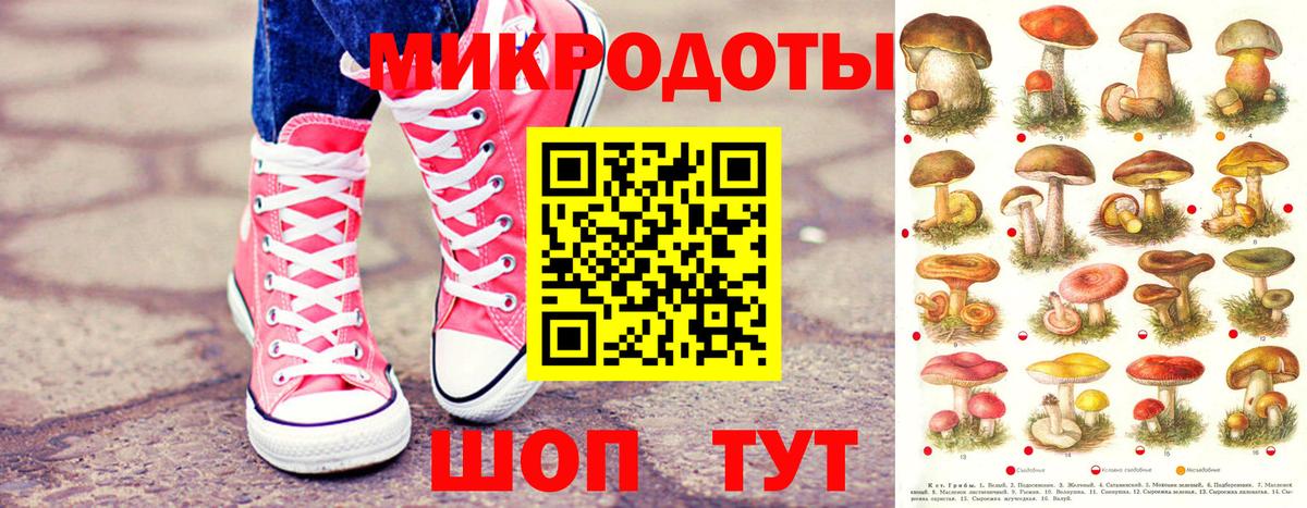 Псилоцибиновые грибы мухоморы Дзержинский